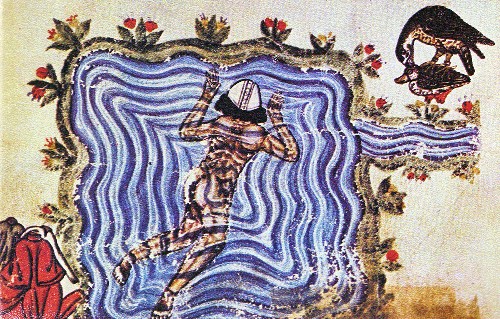 Illustration aus De arte venandi cum avibus, 13. Jahrhundert